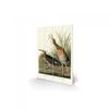 John James Audubon Salt Water Marsh Hen Wood Plaque