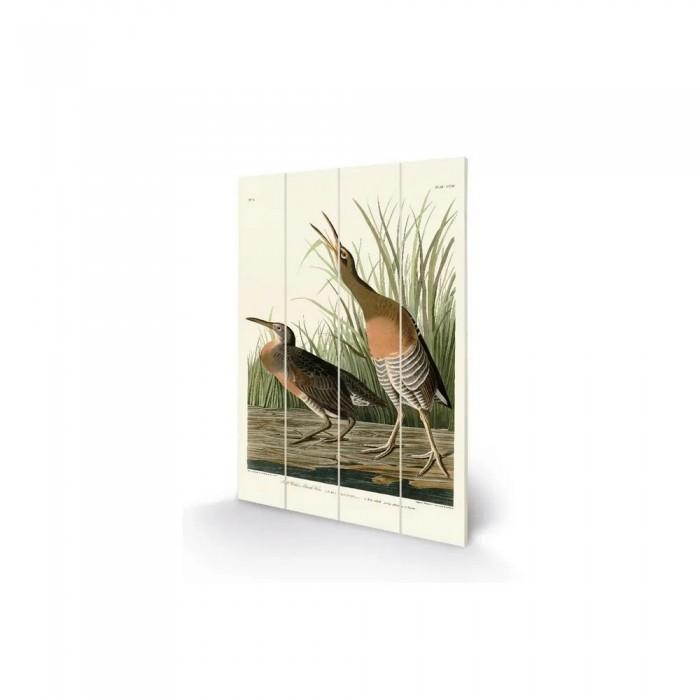 John James Audubon Соленая вода Marsh Hen Wood Табличка