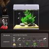 All-in-One Glass Aquarium Filter & Oxygenator - Small Eco-Friendly Desktop Tank 2025.