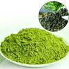 Ti Kuan Yin Matcha Premium Matcha Oolong Tea Powder 100% Natural Tea