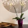 Coubi round flowerpot, transparent, 16x183cm