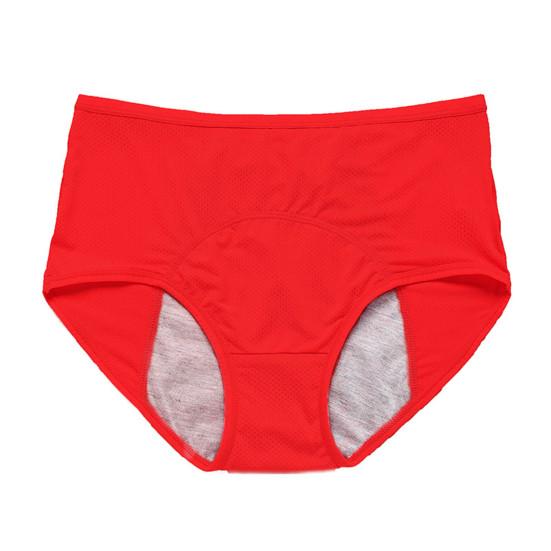 Chic Lady Panties Solid Color Anti-septic Underwear Quick Dry Lady Panties for Work