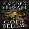 The Gods Below by Andrea Stewart Paperback Book 9780356520704