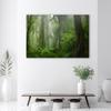 Canvas Print, Tropical Jungle Forest