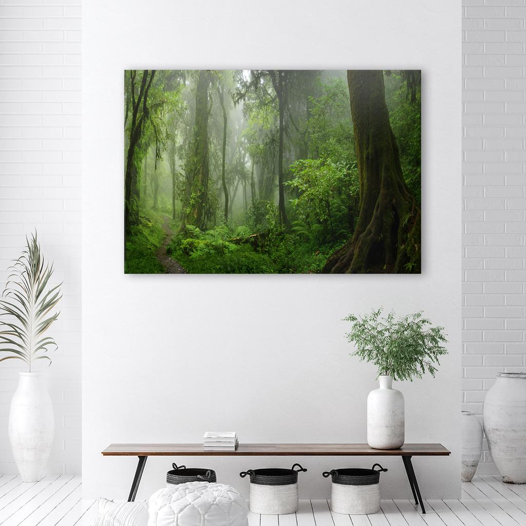 Canvas Print, Tropical Jungle Forest