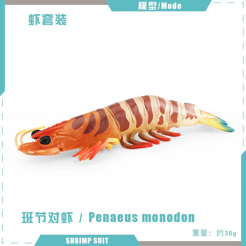 Имитация модели морского существа Детское познание Penaeus Monodon Водное животное Тигровая креветка Животное морского дна Статичное украшение