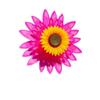 Multistyles Sunflower Windmill Garden Yard Wind Spinner  Outdoor Party Picnic Decor