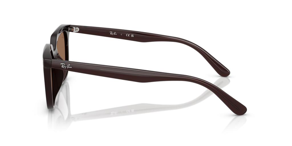 Солнцезащитные очки 0RB4439D OPAL BROWN 54 [Ray-Ban]