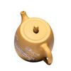 Tao Ding Xuan Snow Mountain Handuo Zisha Teapot