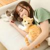 Home Decoration Siamese Cat Orange Cat Child Simulation Cat Toy Plush Toys Simulation Doll Pillow