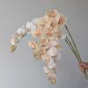 Single Branch Simulation Butterfly Orchid Moth Orchid Plastic Flower Bouquet  Home Decor