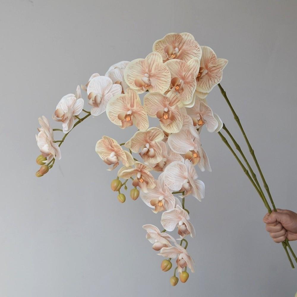 Single Branch Simulation Butterfly Orchid Moth Orchid Plastic Flower Bouquet  Home Decor