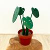 Monstera Coaster Plant Ornament 3D Printed House Artificial Plant Built-In Coaster Leaves