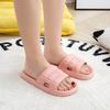 Fashion Women Slippers PVC Material Ladies Slides Quality Slippers Woman Sandals Tranparwnt with a Cheap Price