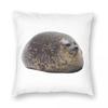 Chubby Seal Pillowcase Polyester Linen Velvet Printed Zip Decor Throw Pillow Case Car Cushion Cover 45X45