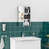 Bathroom Mirror Cabinet Stainless Steel Wall Mounted Vanity Cabinet 39 X 12 X 60 Cm