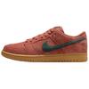 Sb Dunk Low 'Burnt Sunrise' Skateboard Shoes HF3704-800