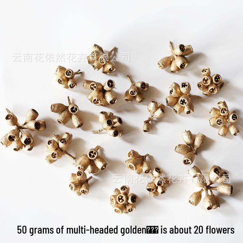 Pistachio Cross Fruit & Fish Scale Pine Gomphrena DIY Dried Flower Weaving Material
