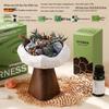 Подарочный набор диффузора с ароматическим камнем Wilderness Secret - Комнатный безпламенный арома-орнамент для праздников и вечеринок