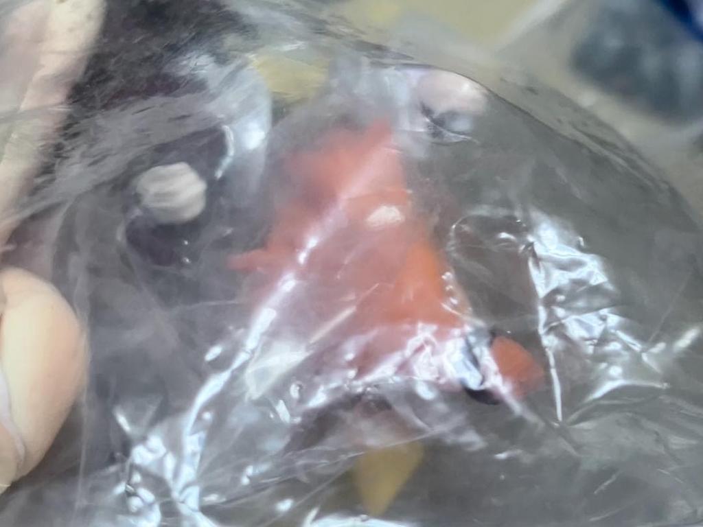 [USED] Bag "Bishamon 2 Types Normal/Secret" SR Real Figure Collection