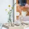 Hydroponic Nordic Creative Container Plant Bottle Glass Vases Flower Pot Table Vase