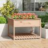 VidaXL Planter with Shelf 111.5x111.5x81 Cm Solid Pine Wood 823801