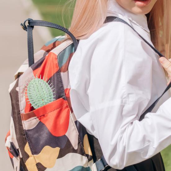 Hair Brush with Ergonomic Handle Ultra-Soft Bristle Minimize Pain Split Ends Breakage Massage Scalp Comb