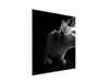 GLASS CUTTING BOARD 45x52 Cat