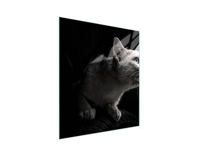 GLASS CUTTING BOARD 45x52 Cat
