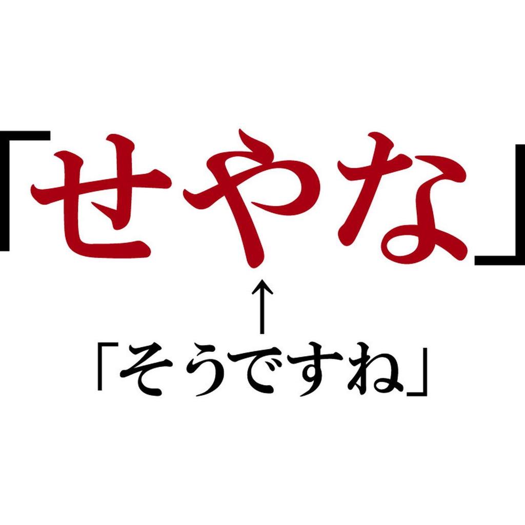 Minami Funny Hiragana Katakana Japanese Funny Short Sleeve White XXXL Size Horie's T-Shirt "That's Right" T-Shirt Men's