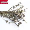 Cool Tones Dried Bouquet: Eucalyptus & Berries Air-Dried Decorative Flowers