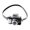 Миниатюрные реквизиты для камеры Реалистичная модель DSLR-камеры Фигурка Аксессуары для кукольного домика Реквизит для фотографии Декор детской комнаты