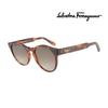 Sunglasses SF1068S 240 Round Horn-rimmed UV Protection Women Men