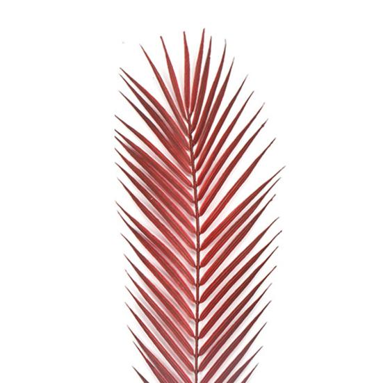 Искусственные листья, многофункциональная пластиковая имитация листьев хризалидокарпуса ручной работы, дисплей для подарков