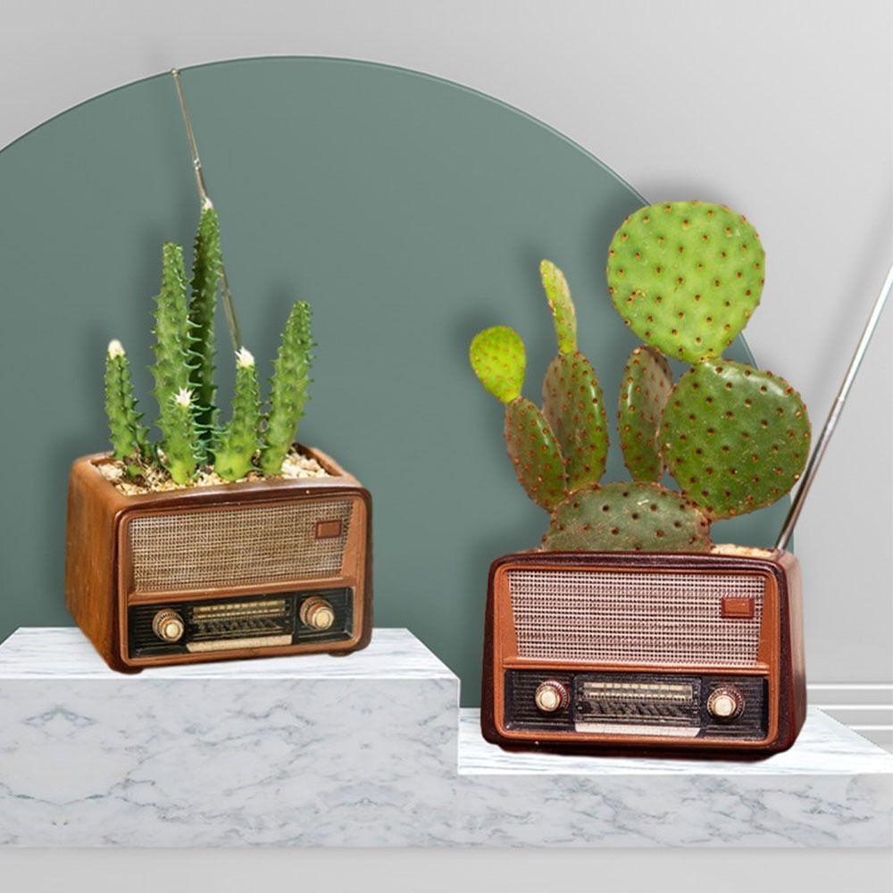 Retro Vintage Radio Planter Creative Succulent Flower Pot Gift Radio TV Potted Plant Home Decor