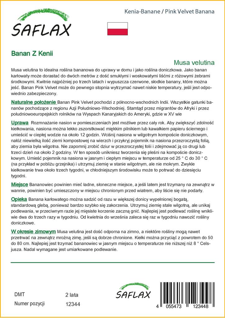 SAFLAX Подарочный набор - Банан Pink Velvet - 8 семян - С подарочной коробкой, карточкой, этикеткой и субстратом для горшков - Musa velutina