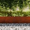 Lawn Edging 30 pcs Rusty 100 x 0.05 x 30 cm