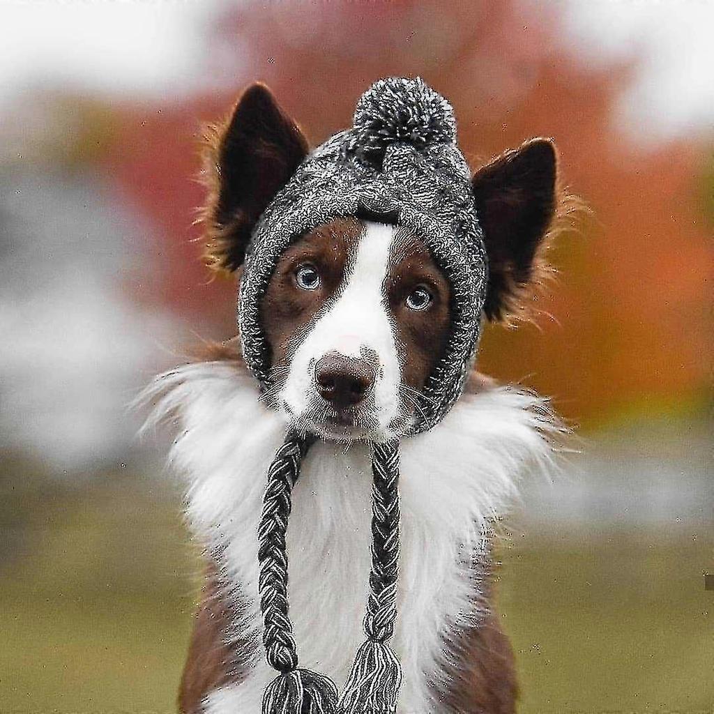 Warm Pet Dog Knitted Hat Small Dog Hat Winter Dog Hat With Ears