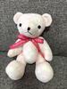[USED] Tully's Teddy Bear 2015