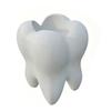 Multi-purpose Storage Box Tooth Shape Toothbrush Holders for Bathrooms, Creative Pen Holder Comfortable Grip Desktop, Decorative Home Decor