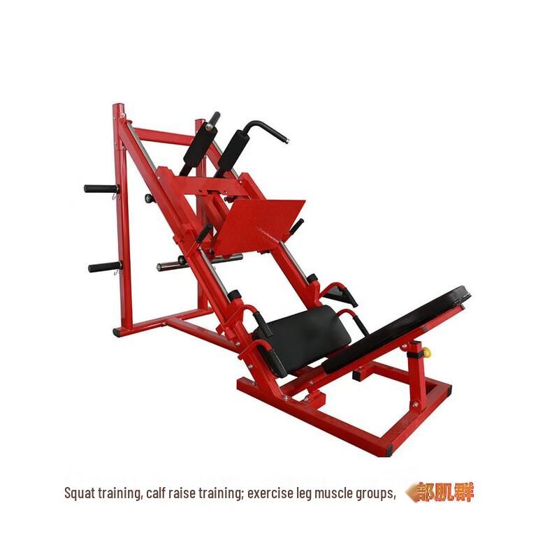Yishi Dual-Function Leg Press & Hack Squat Machine