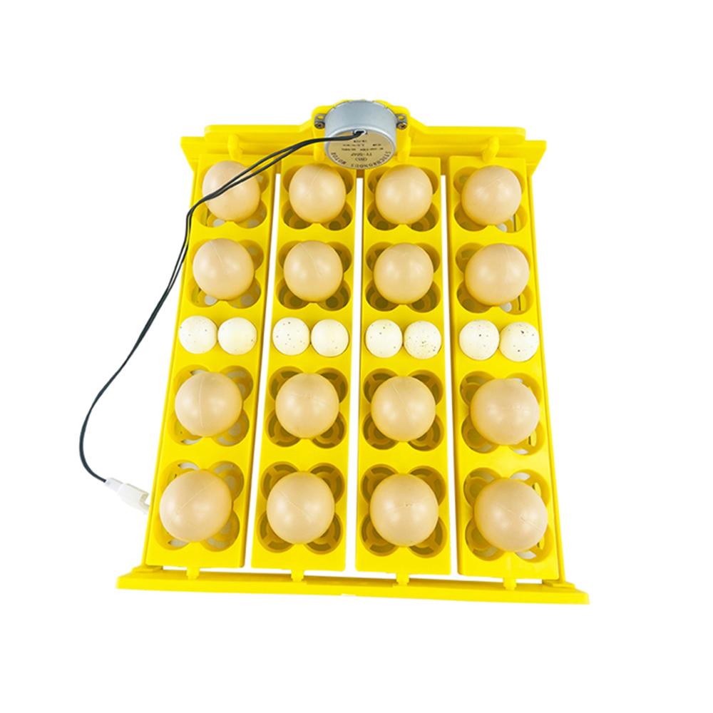 Multifunction 72 Eggs Plastic Egg Tray Automatic Turn Egg for Chicken Quail Incubator Brooder Accessory for Incubator