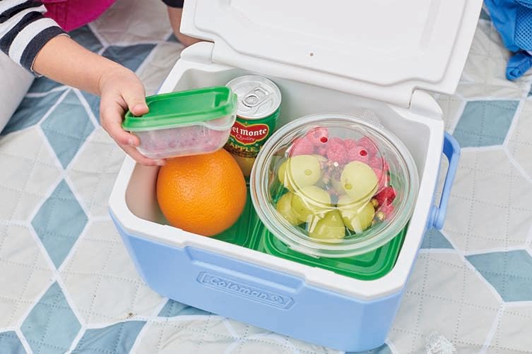 Coleman Take 6 Cooler Box Perfect for Sports Cherry Blossom Club Lunch and Other Outdoor Durable and Powerful Cooling System for Heat (Daydream) -