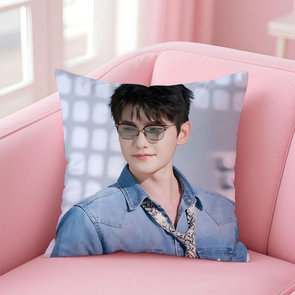 actor handsome YYang Yang Cushion Cover Pillow Case Soft Skin Friendly Fabric Concealed Zipper
