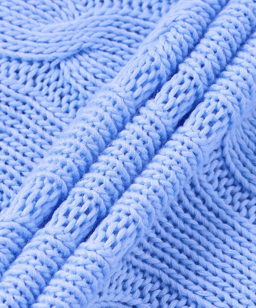 POLO RALPH LAUREN Cable Knit Cotton V-Neck Sweater - Blue