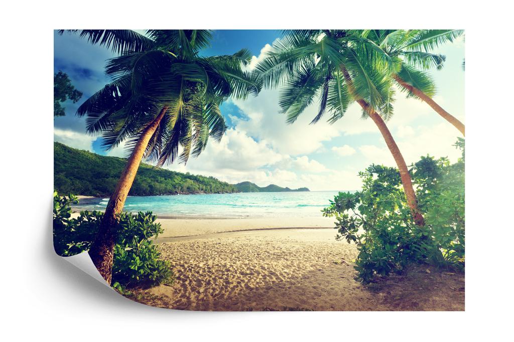 Photomural Palm Trees On The Seychelles Non-Woven 416x290