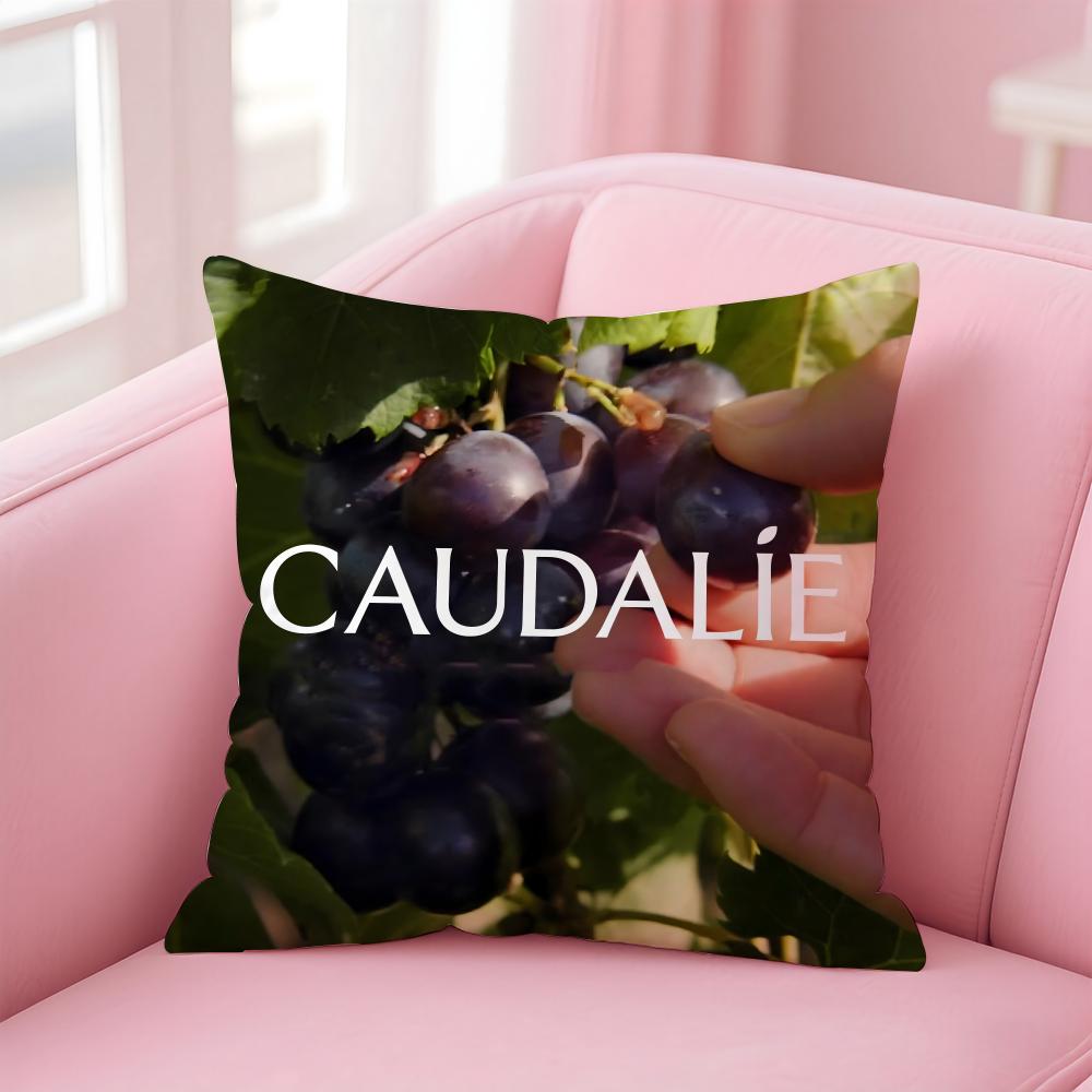 Популярные бренды Caudalie Чехол-подушка Cover Удобный двусторонний чехол для подушки Идеально для Автомобиля Дивана Спальни и Не Только