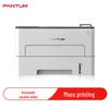 Монолазерный принтер Pantum P3325DN Штепсель CN (адаптер в комплекте)