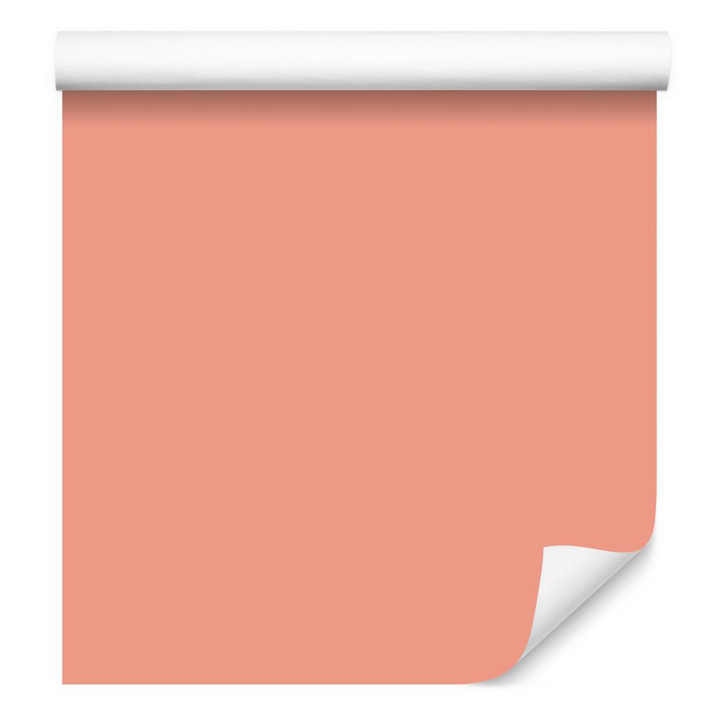 Wallpaper Solid background coral, subtle detail 50x1000