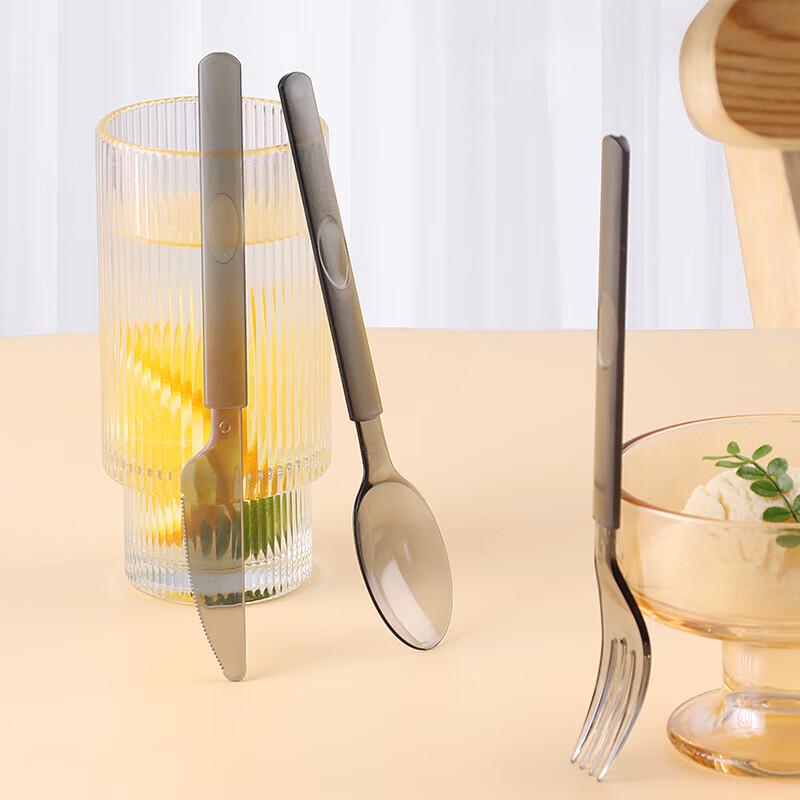 Homeglen Disposable Cutlery